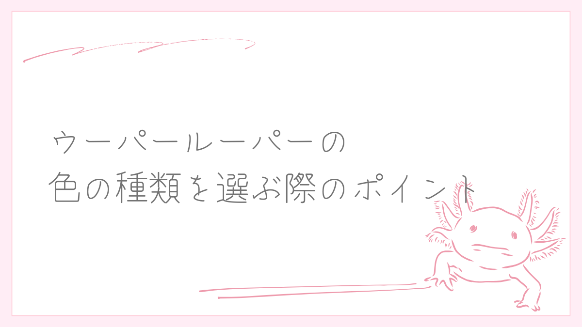 ウーパールーパーの色の種類を選ぶ際のポイント