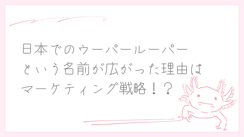 日本でウーパールーパーという名前が広がった理由はマーケティング戦略?