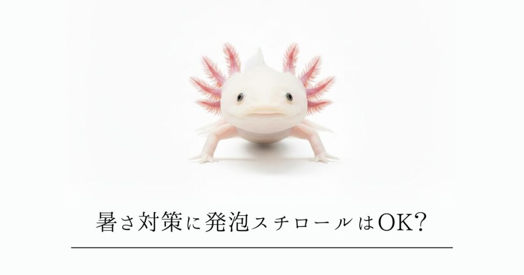 ウーパールーパーの夏の暑さ対策!発泡スチロールと保冷剤は使える?ベテランが教える危険な罠と安全な活用法