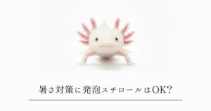 ウーパールーパーの夏の暑さ対策！発泡スチロールと保冷剤は使える？危険な罠と安全な活用法