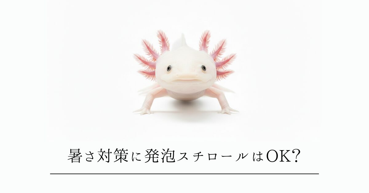 ウーパールーパーの夏の暑さ対策!発泡スチロールと保冷剤は使える?危険な罠と安全な活用法