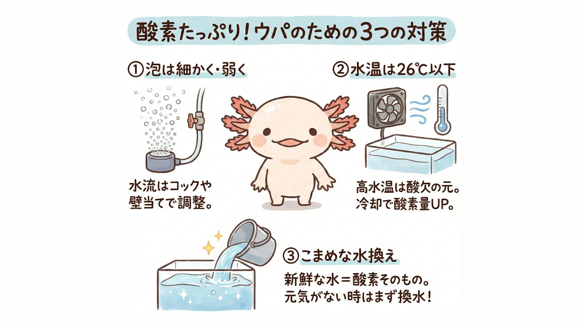 ３つの酸素対策　　ウーパールーパー研究所