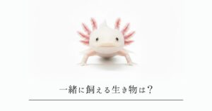 ウーパールーパーと混泳できる魚はいる？一緒に飼える生き物6選と「失敗しない」ための絶対条件