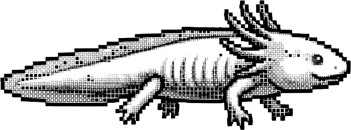 ウーパールーパー