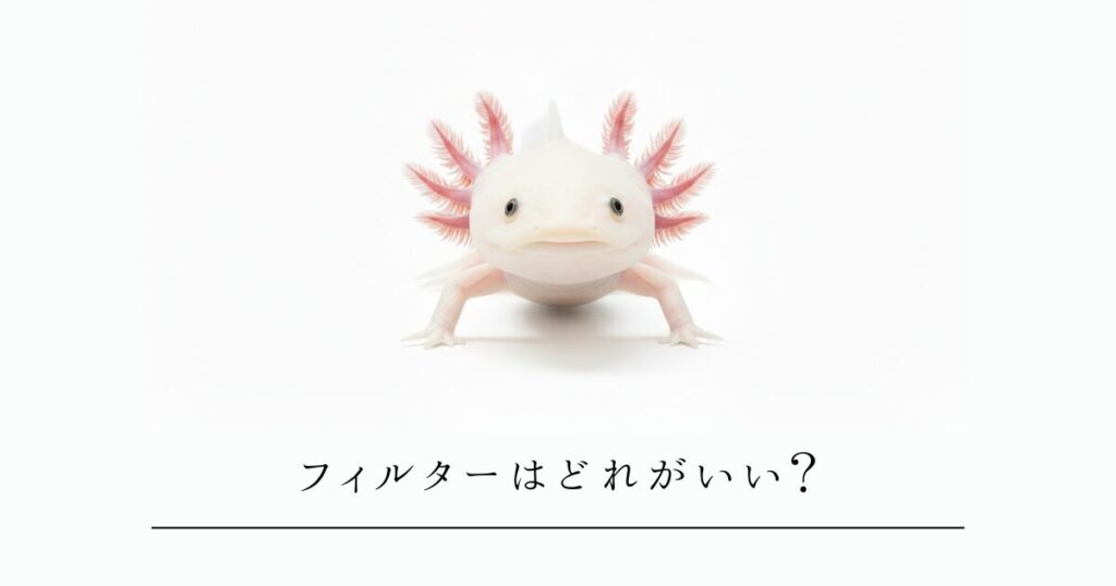 ウーパールーパーのフィルターはどれがいい？上部・外部・投げ込み式を徹底比較