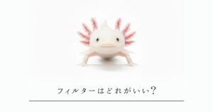 ウーパールーパーのフィルターはどれがいい？上部・外部・投げ込み式を徹底比較