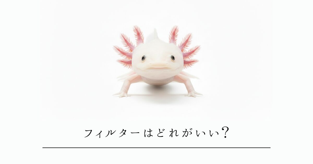 ウーパールーパーのフィルターはどれがいい？上部・外部・投げ込み式を徹底比較