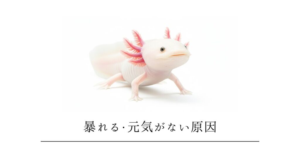 ウーパールーパーが暴れる・元気がない原因｜症状別の対処法まとめ