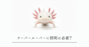 ウーパールーパーに照明は必要？光が苦手な理由と正しい明るさの考え方