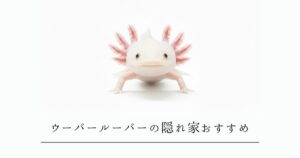 ウーパールーパーの隠れ家おすすめ｜土管・シェルター・水草の選び方と注意点